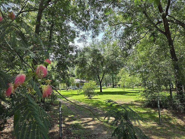 20156 Roadway Ln, New Caney, TX