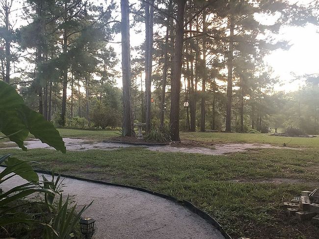 Photo of 536 Holly Grove Rd, Anacoco, LA