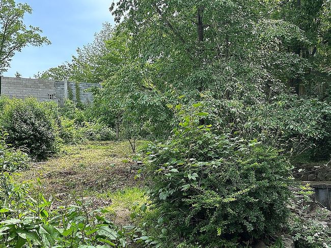 Photo of 8671 Marengo St, Jamaica, NY