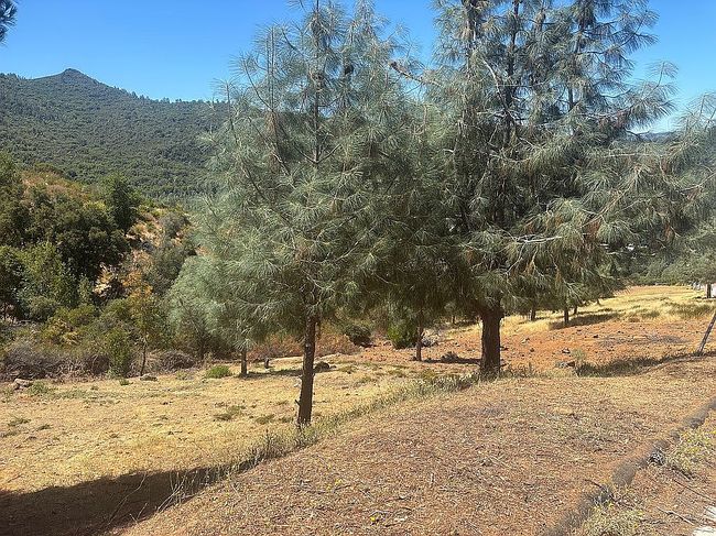 Photo of 6895 Echo Dr, Kelseyville, CA