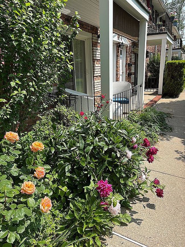 Photo of 320 South St, Morristown, NJ