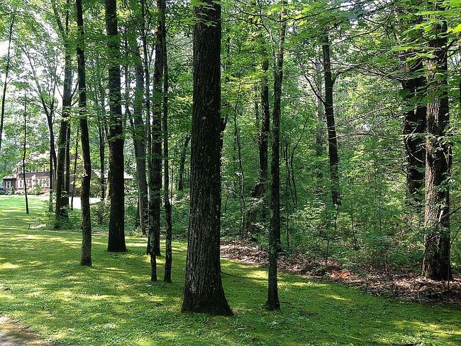 Image of 70 Adams Rd