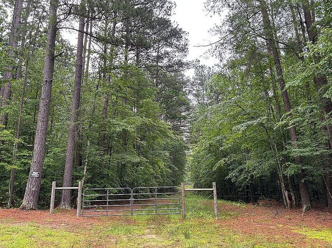 Image of 5767 Military Rd