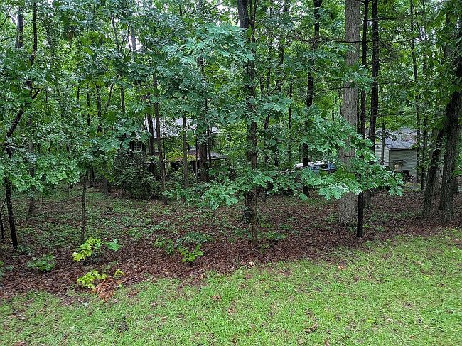 Image of 9903 Black Horse Run Rd
