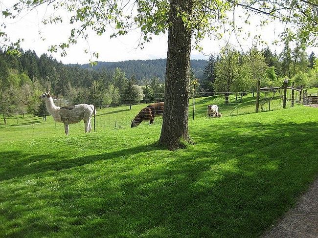 Additional photo 3 of property located at 15790 Oakdale Rd