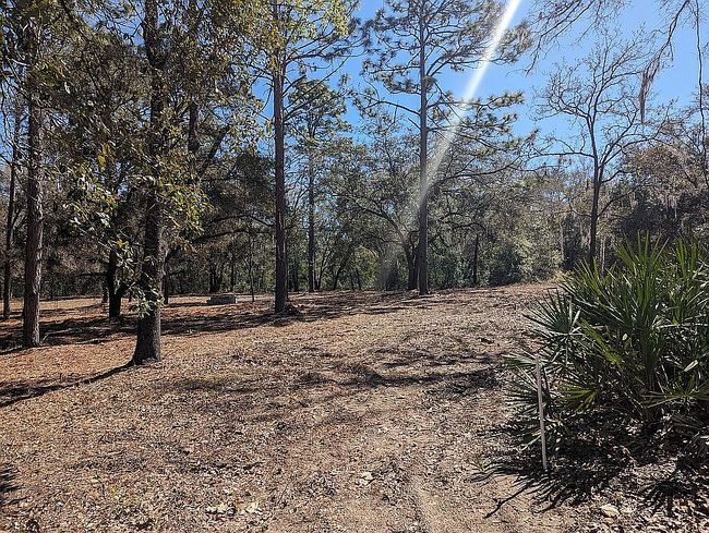 Image of 12313 N Elf Point
