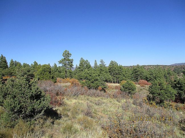Photo of 43767 Us Highway 160, Bayfield, CO