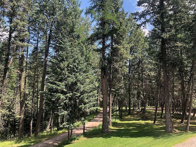 Photo of 372 S Many Lakes Dr, Kalispell, MT
