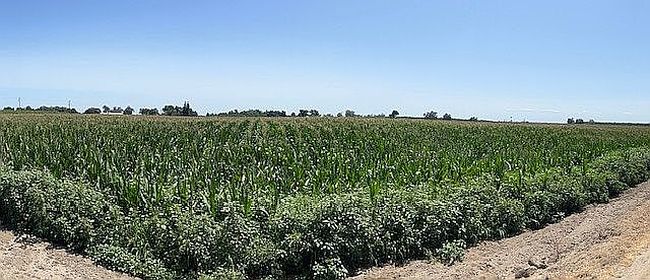 Photo of 12 3/4 Ave, Hanford, CA