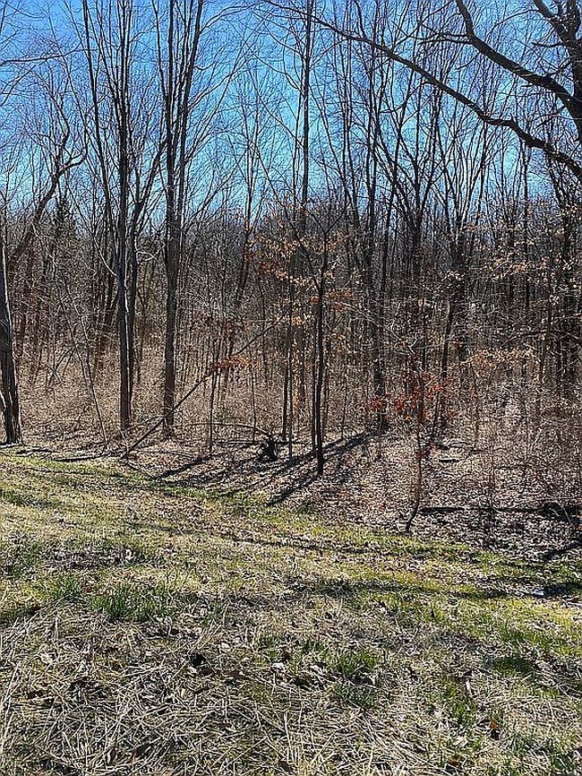 Image of Moffett Ln