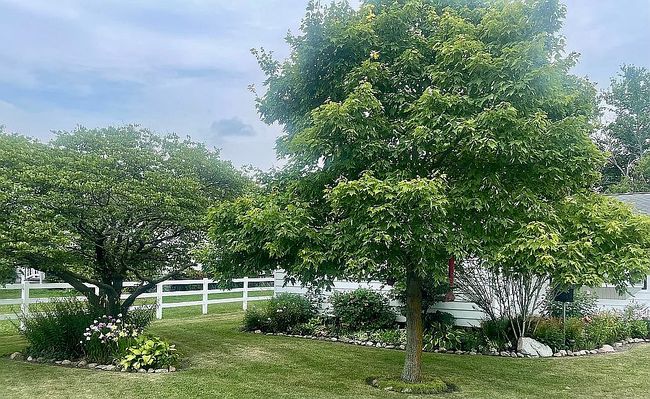 Additional photo 3 of property located at 410 N 7th Ave