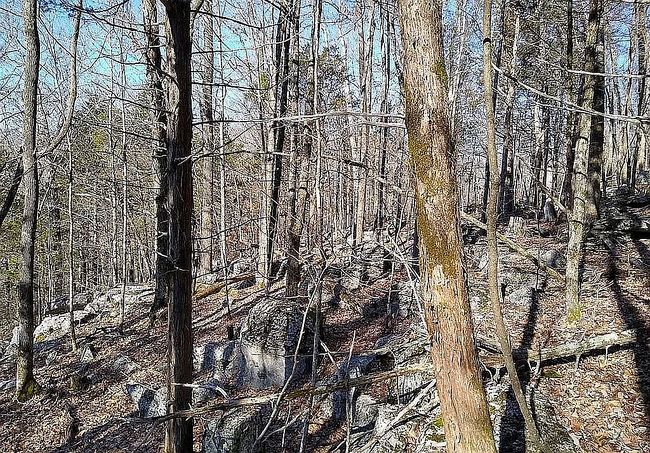 Image of 4970 Rockwell Hollow Rd