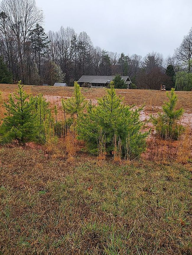 Preview of property located at 288 Hill Farm Rd