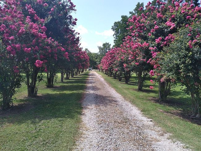 Photo of 1211 Highway 4, Winnsboro, LA