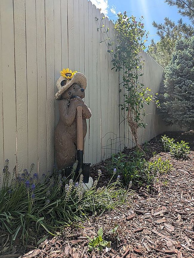 Photo of 2559 S Dahlia St, Denver, CO