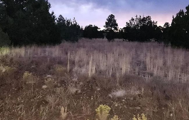 Photo of 5046 N Wilshire Dr, Williams, AZ