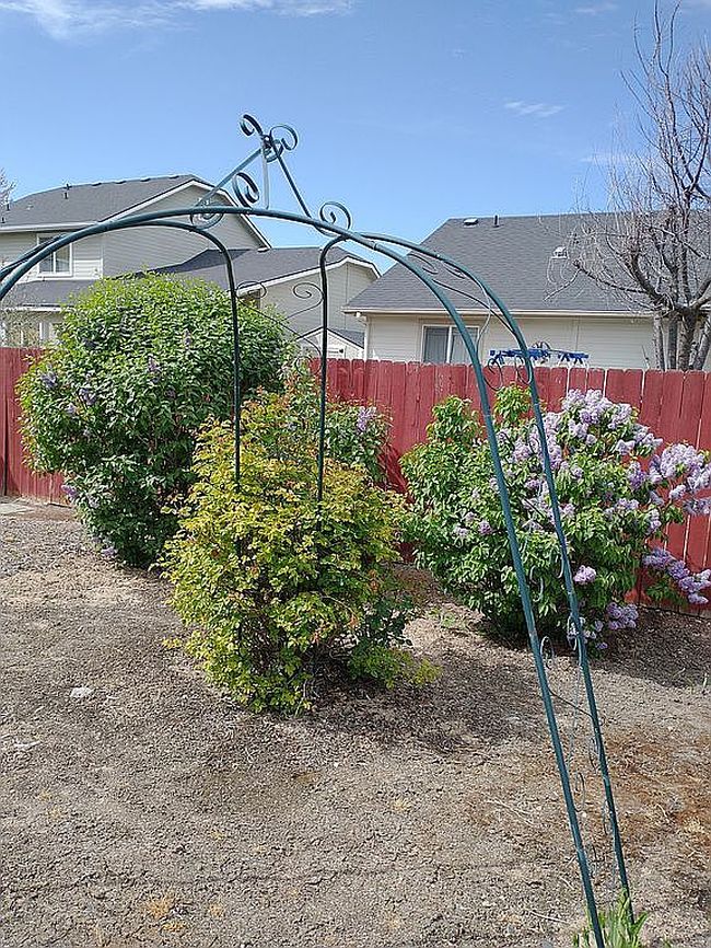 Image of 2611 Wintercrest St