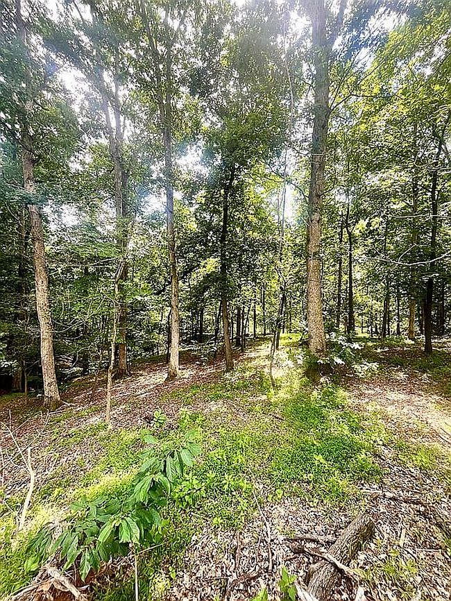 Photo of 1724 Forest Hills Dr, Vienna, WV