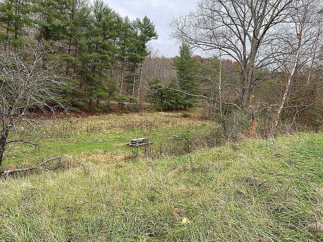 Image of 95 Junes Pl
