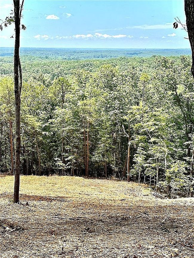 Image of 102 Long View Ct