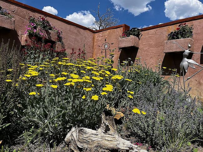 Image of 11800 Primero Ranch Rd
