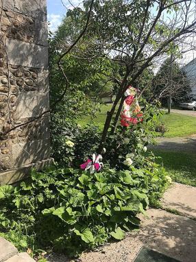 Image of 3822 Canal Rd