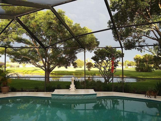 Photo of 1145 Rambling Vine Ct, New Port Richey, FL