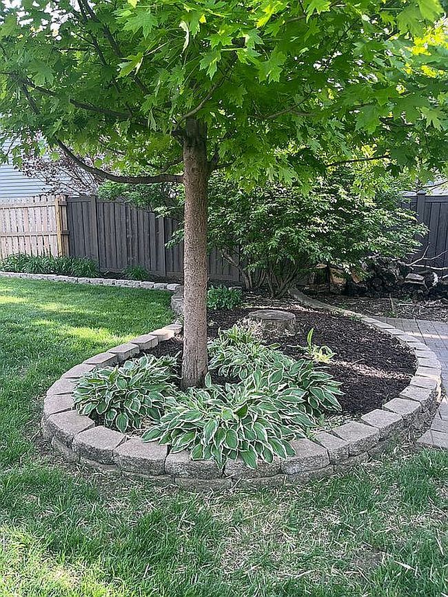 Image of 2807 Woodridge Rd