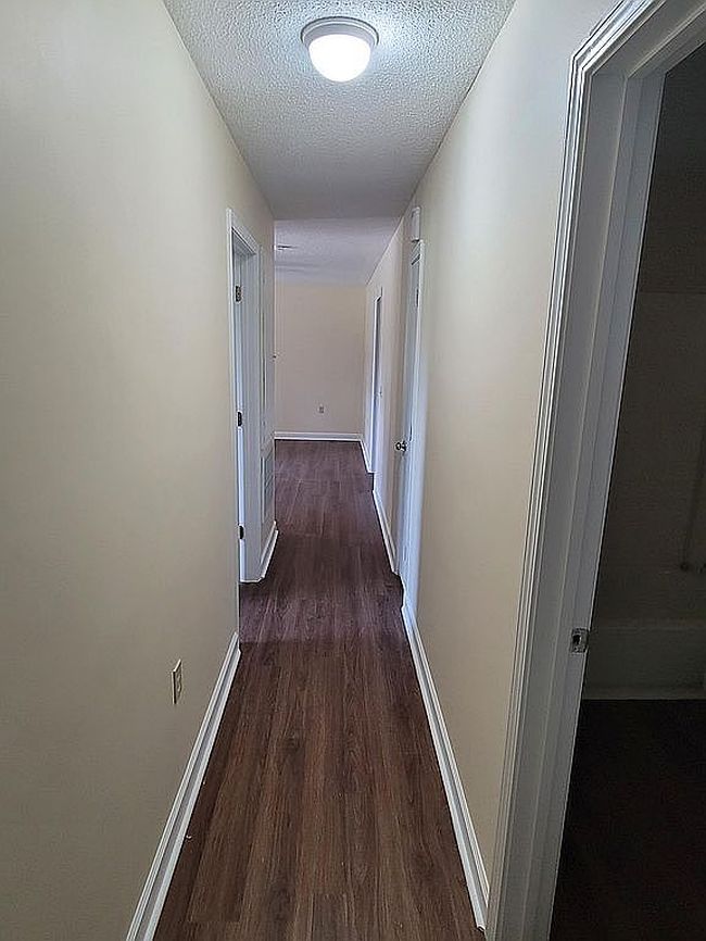 Photo of 125 Wisteria St, Denmark, SC