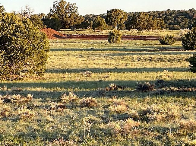 Photo of 0 Navajo Ranch Shawnee Cir #L65-F4, Walsenburg, CO