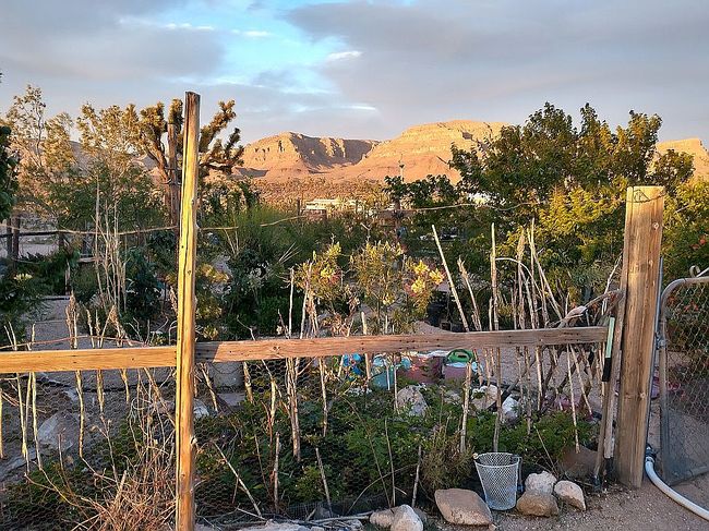 Photo of 26805 N Palo Christi Rd, Meadview, AZ