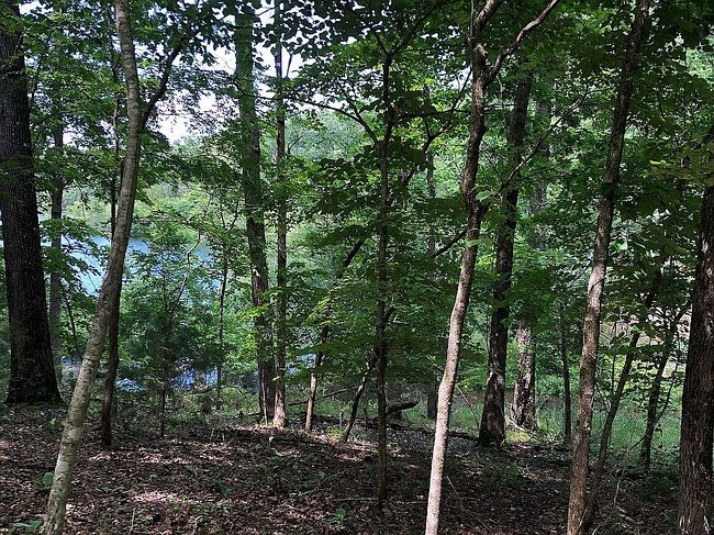 Photo of Brighton St, Bull Shoals, AR