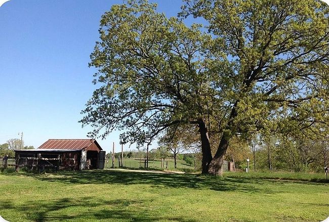 Photo of 464 County Road 362, Pottersville, MO