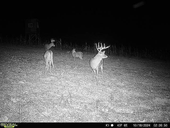 Photo of 542 Bane Cutoff Rd, Elk Garden, WV
