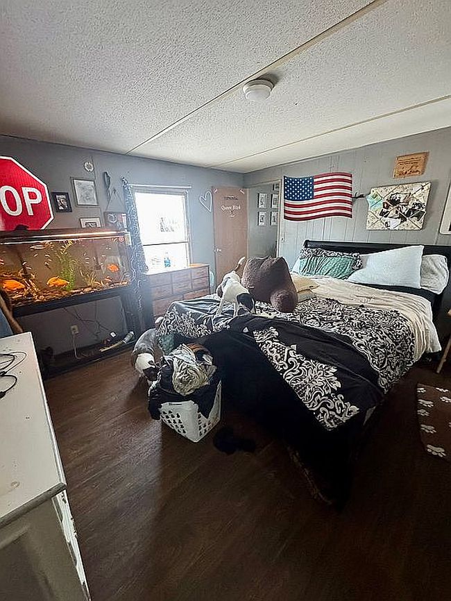 Image of 19 Chelsea Rd