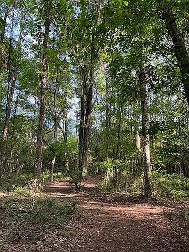 Additional photo 1 of property located at 0 County Road 209 S