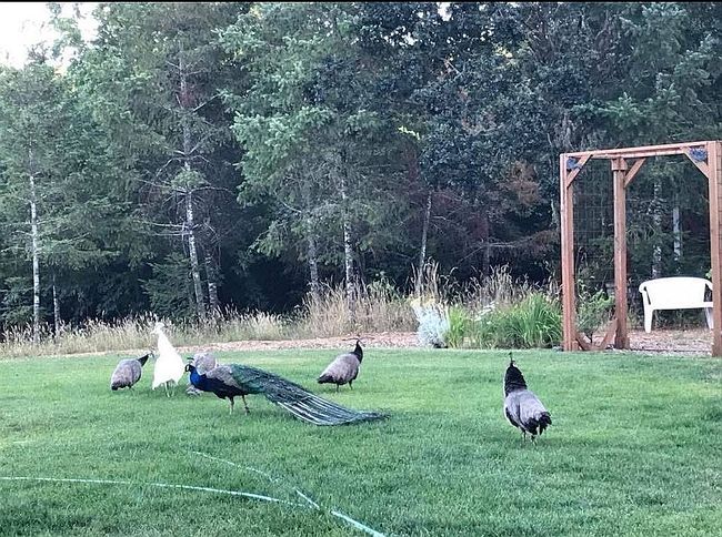 Photo of 7465 Kings Valley Hwy, Monmouth, OR
