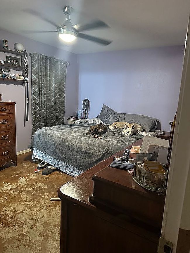 Photo of 16207 Big Oak Cir, Leander, TX