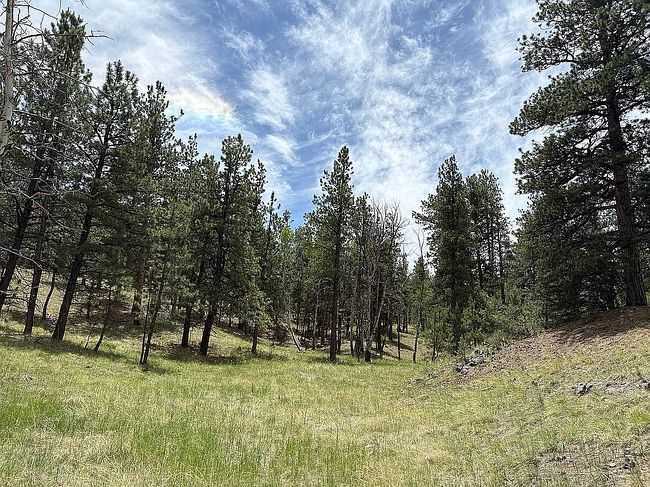 Photo of 188 Zuni Trl, Westcliffe, CO