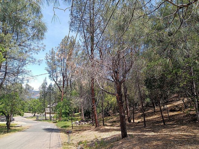 Image of 4840 Cascade Way
