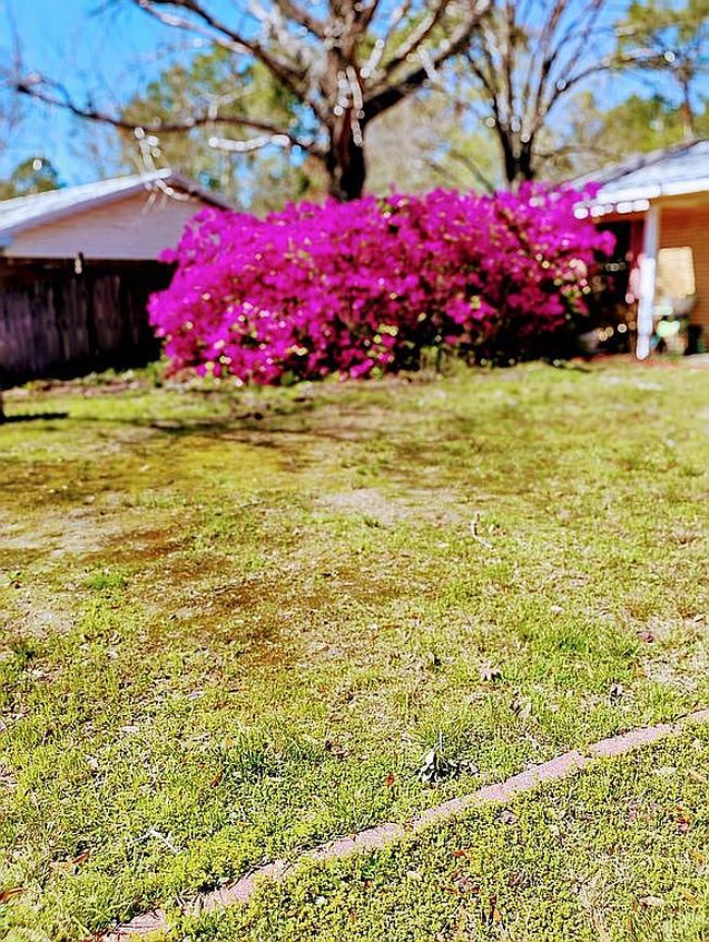 Image of 312 Mary Dr