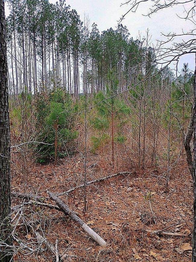 Image of Baltimore Church Rd