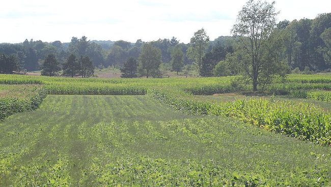 Preview of property located at 14638 Us Highway 10