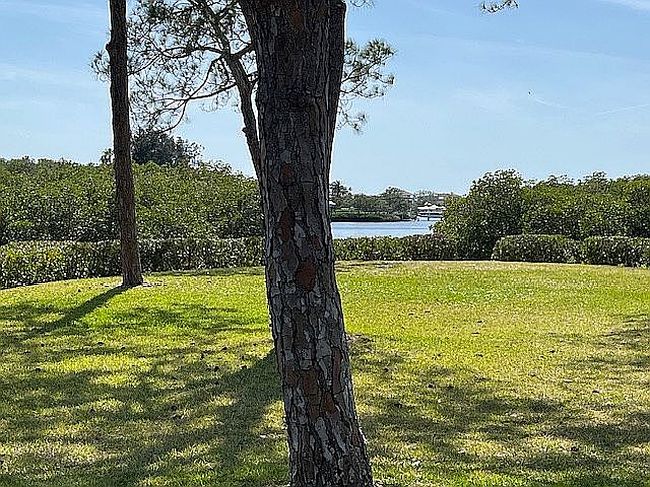 Photo of 1555 Ember Ln, Tarpon Springs, FL