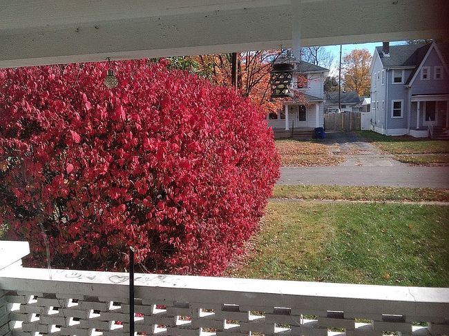 Image of 2921 Kenmore Ave