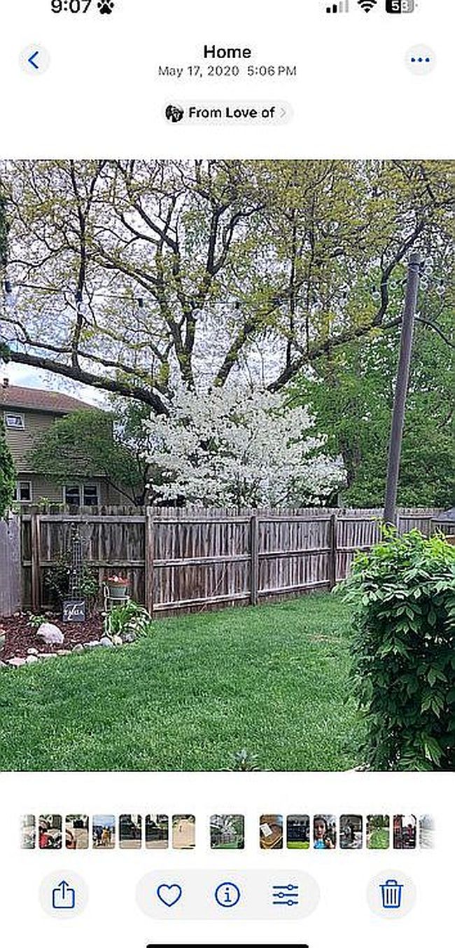 Image of 1702 54th Street Ct
