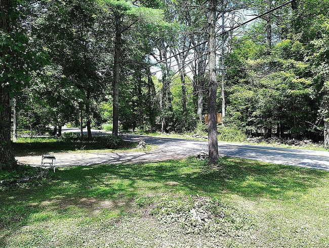 Photo of 549 Hearts Content Rd, Round Top, NY