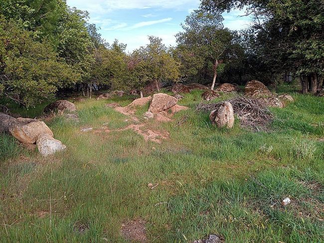 Image of 10167 Del Monte Way