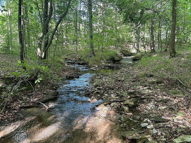 Image of 88 Twin Creek Est