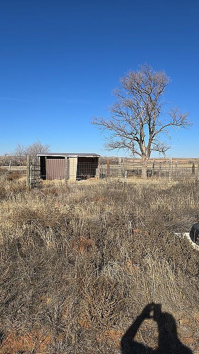 Photo of 13550 County Road D, Lakeview, TX
